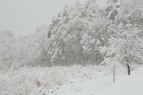 裏磐梯風景写真 【雪】 | 裏磐梯 ペンションレラ ブログ